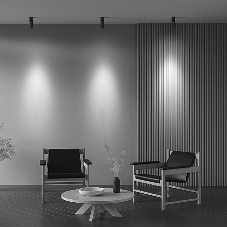 Потолочный светильник Technical C055CL-L12W2.7K-Z-B - фото