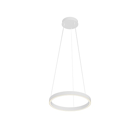 Подвесной светильник Maytoni Rim MOD058PL-L22WK - фото