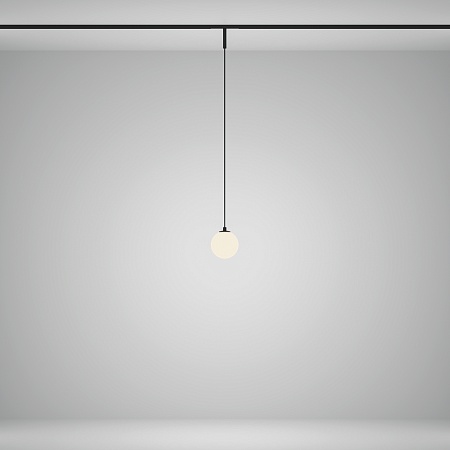 Трековый светильник Technical Luna TR178-1-5WTW-B - фото