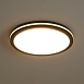 Потолочный светильник Freya FR6160CL-L40B - фото