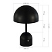 Прикроватная лампа Черный/Черный LED 1*3W 3000-6000K SLE1806-404-01 - фото