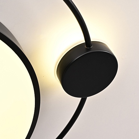 Потолочный Светильник Destin D50 Black Imperiumloft 193727-26 - фото