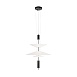 10244/B Black Подвесной светильник LOFT IT Skylar - фото