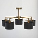 Люстра потолочная MW-Light Сайрус 721010205 - фото
