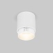 Потолочный светодиодный светильник Cors 25032/LED 10W 4200K белый Elektrostandard - фото