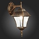 Светильник уличный настенный ST-Luce Бронза/Бронза, Прозрачный E27 1*60W SL082.211.01 - фото