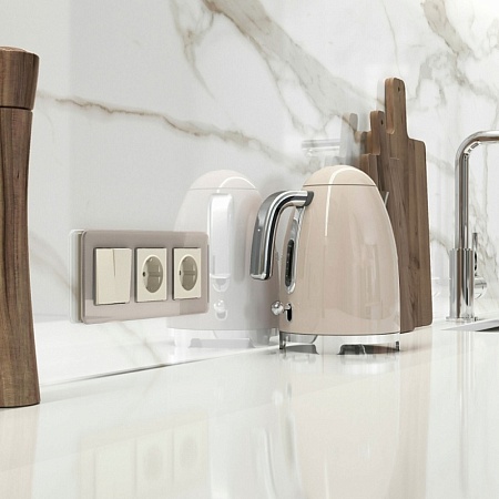 Розетка с заземлением (айвори матовый) W1171062 - фото