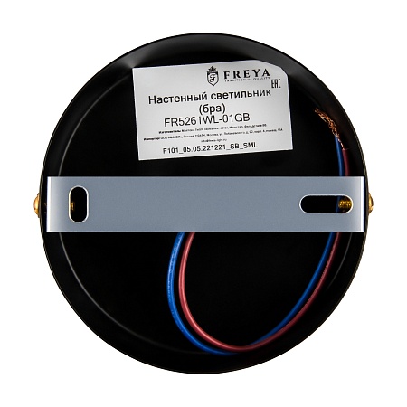 Настенный светильник (бра) Freya FR5261WL-01GB - фото