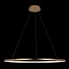 10014XL Подвесной светильник LOFT IT Ring - фото