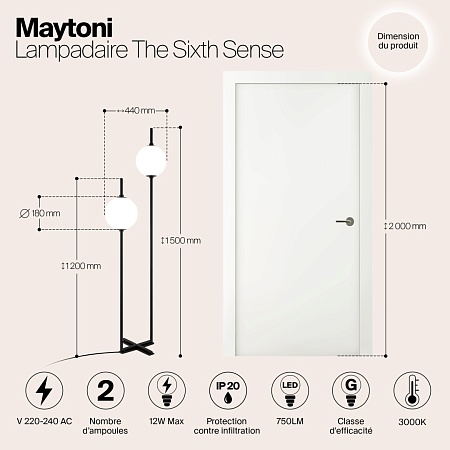 Напольный светильник (торшер) Maytoni The Sixth Sense Z020FL-L12BK - фото