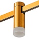 Магнитный трековый светильник FARM Золотистый LED 1*3W 3000K 93Lm Ra90 120 IP20 D29xH90 ST812.206.03 - фото