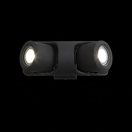 Светильник уличный настенный ST-Luce Черный/Черный, Прозрачный G5,3 2*3W SL093.401.02 - фото