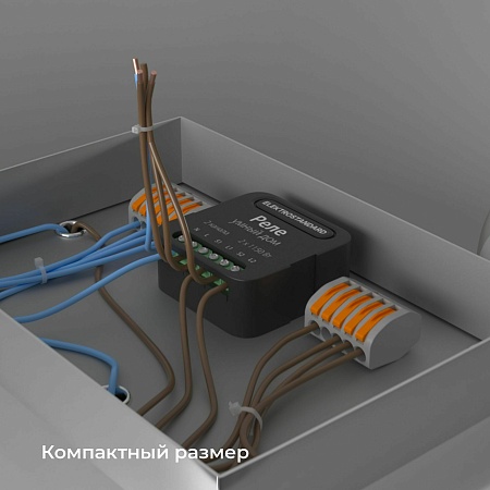 Умное двухканальное реле 76007/00 Elektrostandard - фото