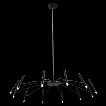 Светильник потолочный ST-Luce Черный/Черный G9 12*5W 4000K SL1214.402.12 - фото