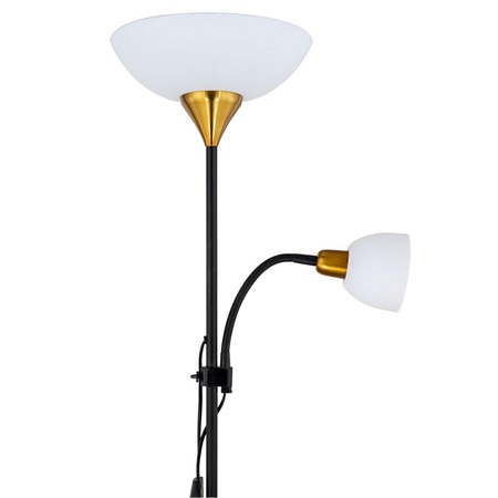 Торшер Arte Lamp DUETTO A9569PN-2BK - фото