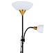 Торшер Arte Lamp DUETTO A9569PN-2BK - фото