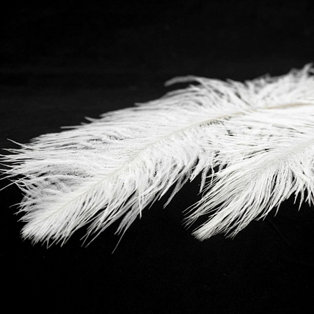 Люстра Lussole Cuscino LSP-8600 - фото