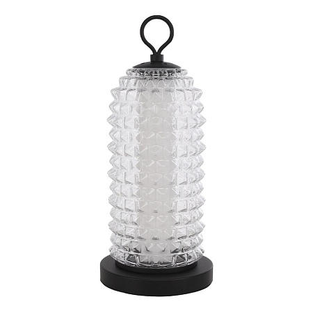 Прикроватная лампа ST-Luce черный/прозрачный LED 1*12W 4000K SL6144.404.01 - фото