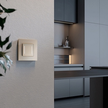 Умный сенсорный выключатель двухклавишный (шампань) W4523011 - фото