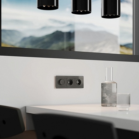 Диммер (графит акрил) W1142044 - фото