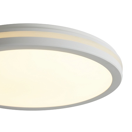 Потолочный светильник Freya FR6160CL-L40W - фото