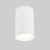 Уличный потолочный светильник Light IP65 35128/H белый Elektrostandard