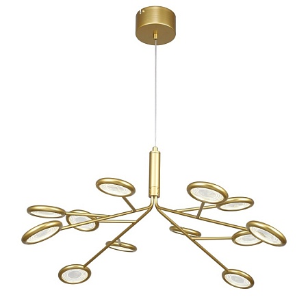 Подвесная/потолочная люстра F-Promo 4253-12P - фото