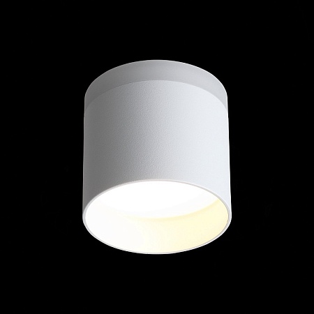 Светильник потолочный Белый LED 1*12W 3000K 936Lm Ra>80 120° IP20 D100xH90 170-240V ST102.502.12 - фото