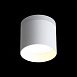 Светильник потолочный Белый LED 1*12W 3000K 936Lm Ra>80 120° IP20 D100xH90 170-240V ST102.502.12 - фото