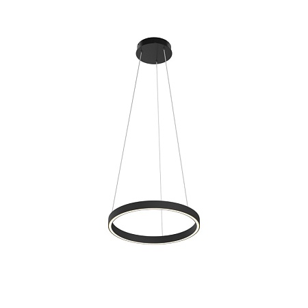 Подвесной светильник Maytoni Rim MOD058PL-L22BK - фото
