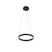 Подвесной светильник Maytoni Rim MOD058PL-L22BK - фото