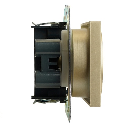 GLS16-7114-08 Розетка 2-местная с защитной шторкой (механизм) с/з, 250В, 16А, серия Катрин, золото - фото