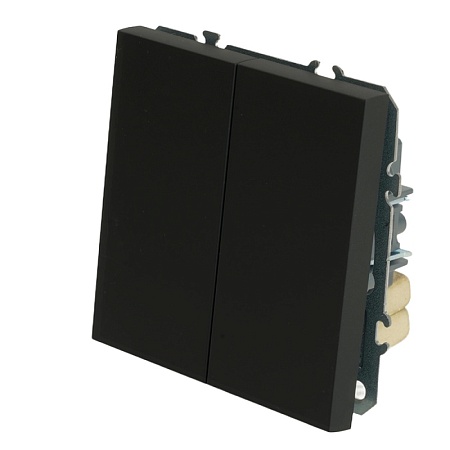 Переключатель 2-клавишный (механизм), STEKKER, 250В, 10А, серия Эмили, RSW10-5107-05, черный уголь, soft touch - фото