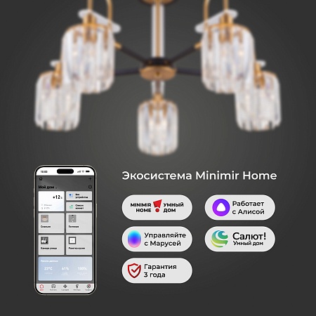 Потолочный светильник Eurosvet 70090/5 черный - фото