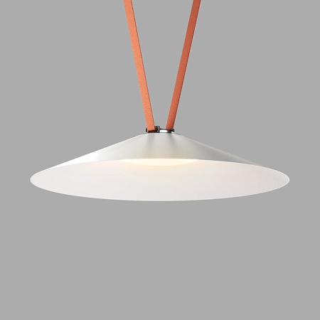 Светильник на шине Denkirs DK5569-WH+BK - фото