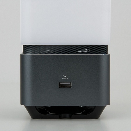 Smart-лампа с bluetooth-колонкой  серебристый Lussole Media 80418/1 - фото
