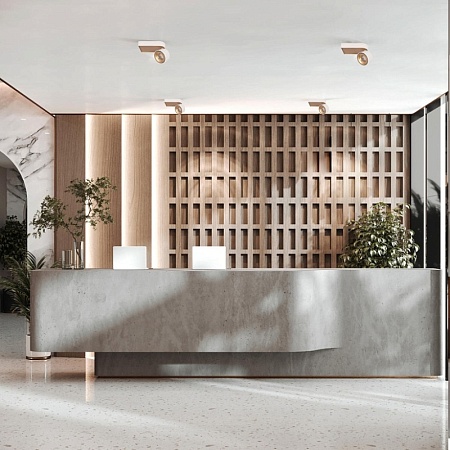 10324/A Gold White Накладной светильник LOFT IT Knof - фото