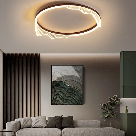 Потолочный Светильник Izelin D50 Black Imperiumloft 223813-23 - фото