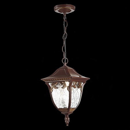 Светильник уличный подвесной ST-Luce Кофейный/Кофейный, Прозрачный E27 1*60W SL083.703.01 - фото