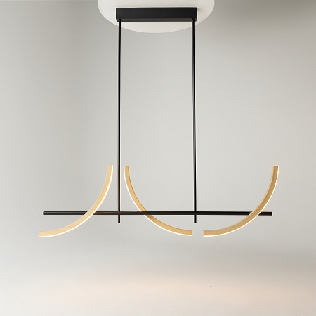 Подвесной светильник Maytoni MOD428PL-L20BK - фото