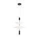 10244/B Black Подвесной светильник LOFT IT Skylar - фото