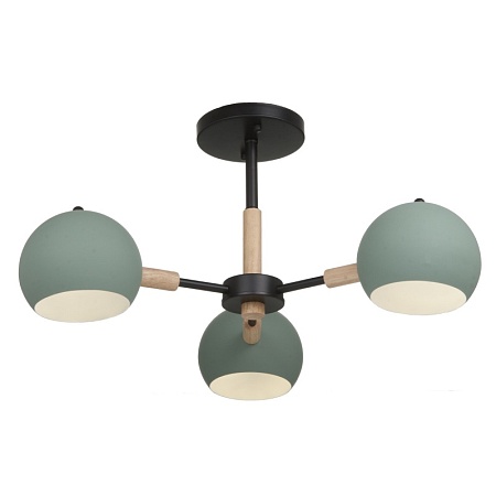 Потолочный светильник Freya Trisha FR5032CL-03B - фото