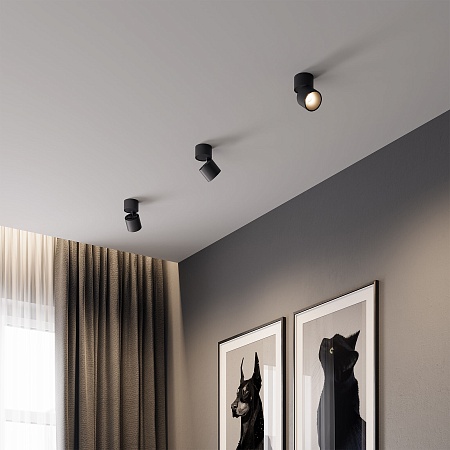 Светильник потолочный поворотный светодиодный Rolly 9W 3000K черный 25112/LED Elektrostandard - фото
