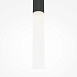 Подвесной светильник Maytoni Pro Shade MOD157PL-L6BK - фото