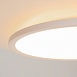 Потолочный светильник Maytoni MOD426CL-L43WK1 - фото