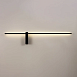 Декоративная подсветка Arte Lamp PHOENIX A2025AP-1BK - фото
