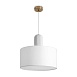 Подвесной светильник Freya FR5491PL-01BS - фото
