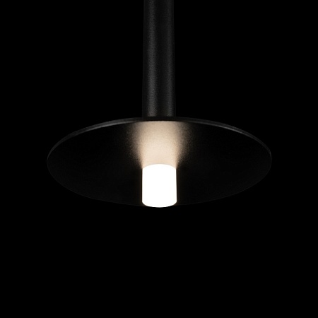 10358/830 Disk Подвесной светильник LOFT IT Reed - фото