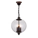Светильник подвесной ST-Luce Черный/Прозрачный E14 3*60W SL362.303.03 - фото