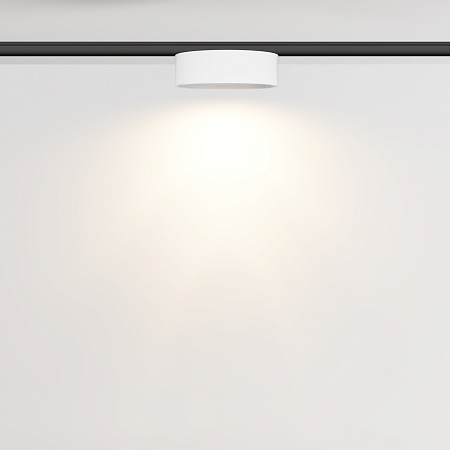 Трековый светильник Technical Zon TR189-1-12W3K-BW - фото